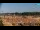 Webcam in Bibione, 1.4 mi away