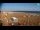 Webcam in Bibione, 0.7 mi away