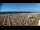 Webcam in Bibione, 1.9 km