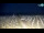 Webcam in Bibione, 0.7 mi away