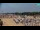 Webcam in Bibione, 2.9 km