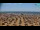 Webcam in Bibione, 4.1 mi away