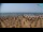Webcam in Bibione, 1.6 km