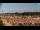 Webcam in Bibione, 0.9 mi away