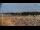 Webcam in Bibione, 0.7 mi away