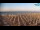 Webcam in Bibione, 0.7 mi away