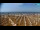 Webcam in Bibione, 11.2 km