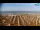Webcam in Bibione, 0.6 mi away