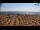 Webcam in Bibione, 2.9 km