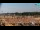 Webcam in Bibione, 7.8 km