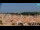 Webcam in Bibione, 1.9 km entfernt