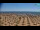 Webcam in Bibione, 11.2 km
