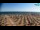 Webcam in Bibione, 11.7 km
