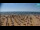 Webcam in Bibione, 4 mi away