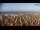 Webcam in Bibione, 11.5 km entfernt