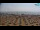 Webcam in Bibione, 0.1 mi away