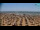 Webcam in Bibione, 1.4 mi away