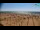Webcam in Bibione, 0.7 mi away