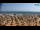 Webcam in Bibione, 4.3 mi away