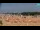 Webcam in Bibione, 4.5 mi away