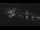 Webcam in Gudhjem (Bornholm), 104.7 km