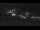 Webcam in Gudhjem (Bornholm), 191.9 km entfernt