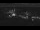 Webcam in Gudhjem (Bornholm), 191.9 km entfernt