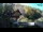 Webcam in Vrbovsko, 15.8 mi away
