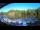 Webcam in Mittweida, 16.3 km