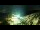 Webcam in Riffelalp, 7.4 km