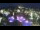 Webcam in Albufeira, 13.2 mi away
