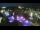 Webcam in Albufeira, 28.6 mi away