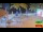 Webcam in Sandy Ground, 18.4 km