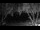 Webcam in West Bay, 243 mi away
