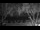 Webcam in West Bay, 230.8 mi away