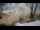 Webcam in West Bay, 229.1 mi away