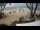 Webcam in West Bay, 237.2 mi away
