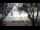 Webcam in West Bay, 230.8 mi away