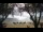 Webcam in West Bay, 229.2 mi away