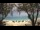 Webcam in West Bay, 231.2 mi away