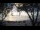 Webcam in West Bay, 751.8 km entfernt