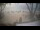 Webcam in West Bay, 630.3 km