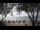 Webcam in West Bay, 243.2 mi away