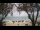 Webcam in West Bay, 258.1 mi away
