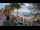 Webcam in West Bay, 594.9 km