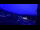 Webcam in Planneralm, 8.3 mi away