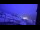 Webcam in Planneralm, 9.4 km