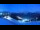 Webcam in Sölden, 4.4 km