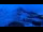 Webcam in Fieberbrunn, 2.5 mi away
