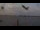Webcam in Chestermere, 283.7 km